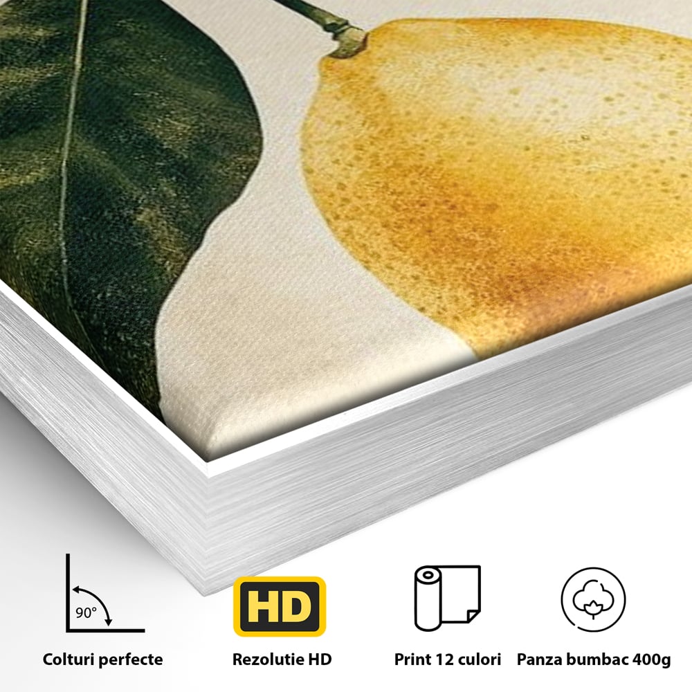 Detaliu al suprafetei: ilustratie botanica cu lamaie si frunze, in rama de aluminiu argintiu